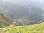 View towards Malaiesti Valley from Bucsoiu Peak, Click to open